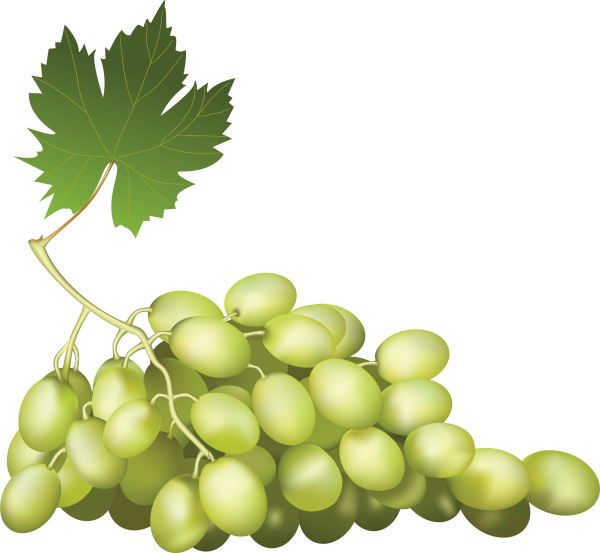 Grape Free PNG Image Download 31