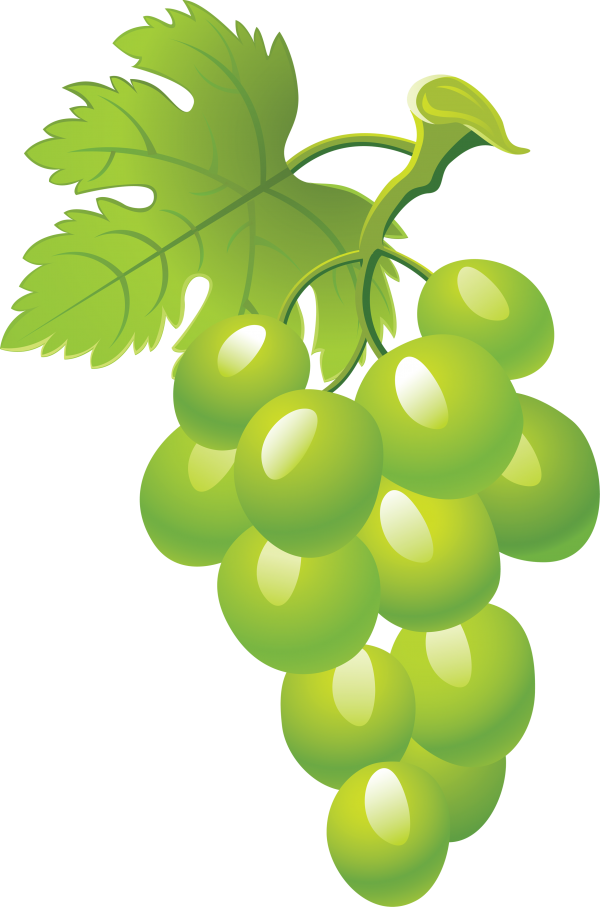 Grape Free PNG Image Download 32