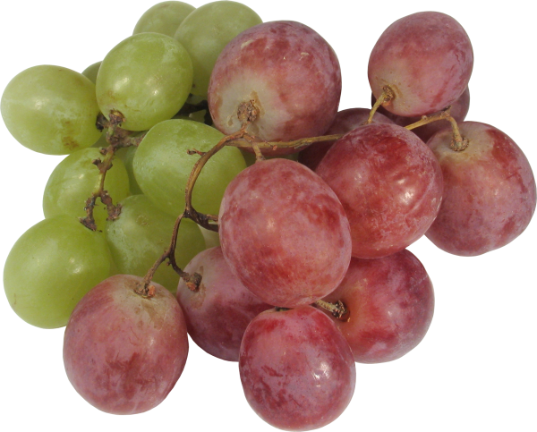 Grape Free PNG Image Download 34