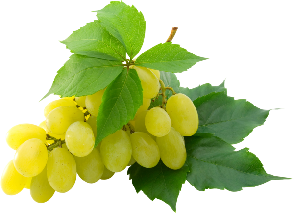Grape Free PNG Image Download 4
