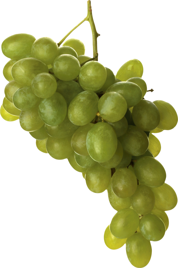 Grape Free PNG Image Download 42