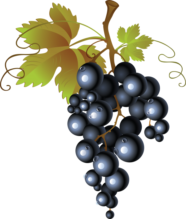 Grape Free PNG Image Download 44
