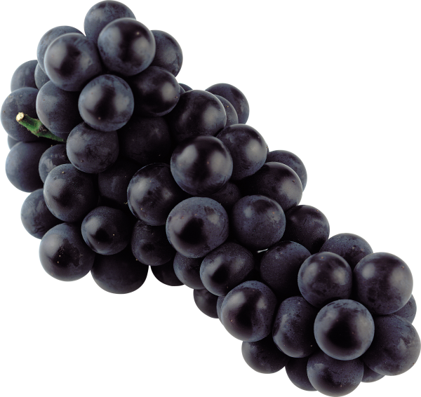 Grape Free PNG Image Download 5