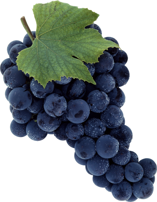 Grape Free PNG Image Download 50