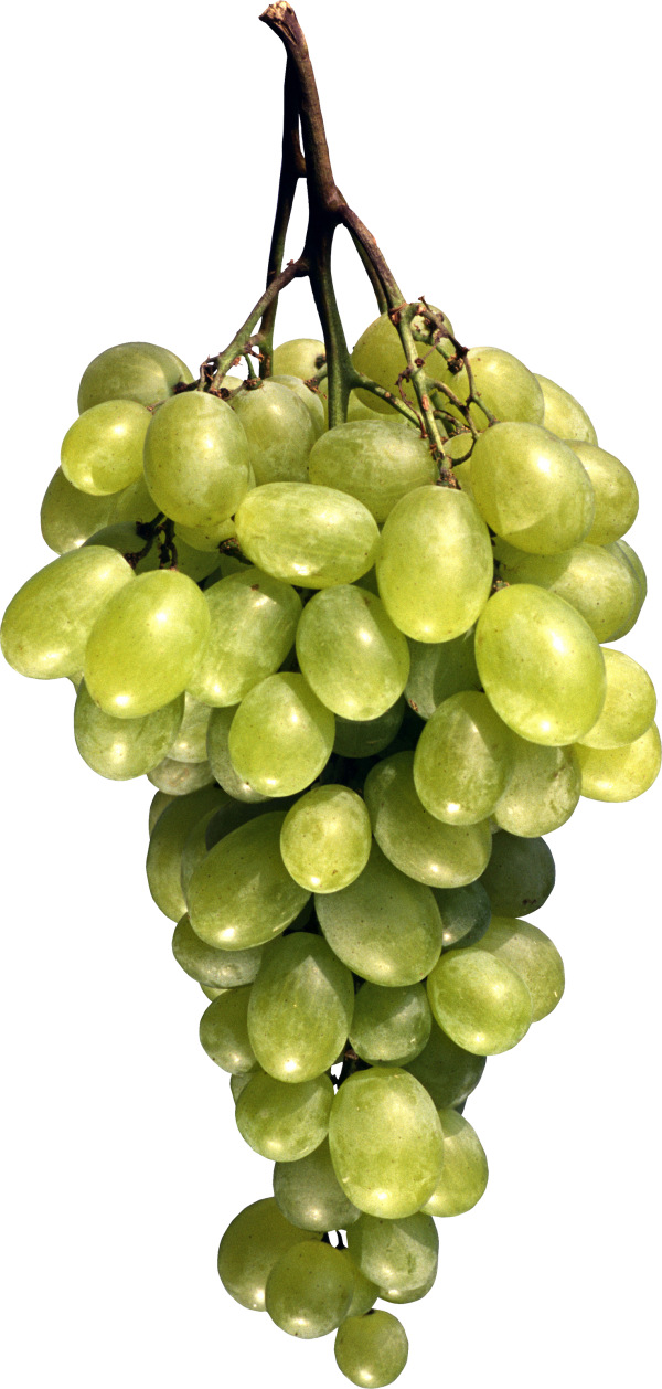 Grape Free PNG Image Download 52