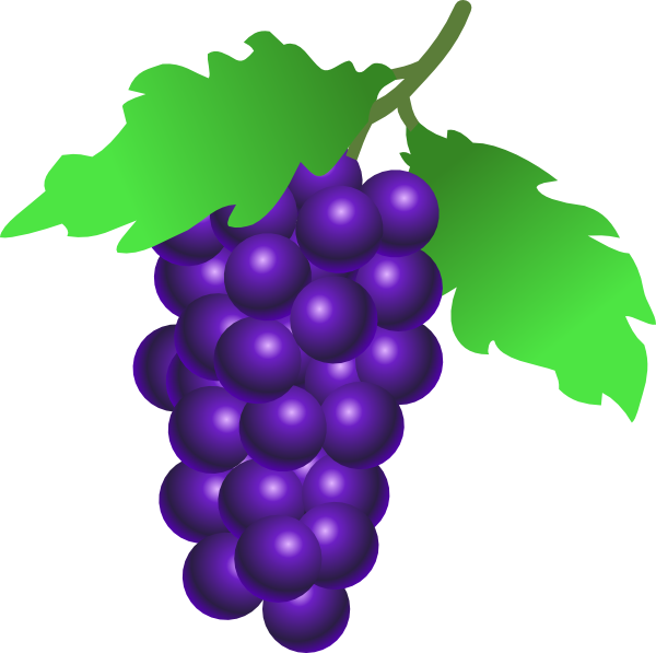 Grape Free PNG Image Download 55