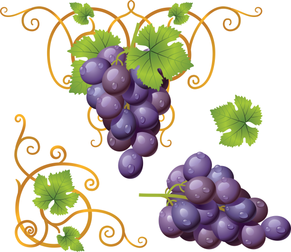 Grape Free PNG Image Download 7