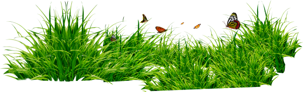 Grass Free PNG Image Download 1