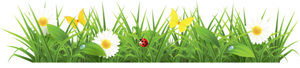 Grass Free PNG Image Download 17
