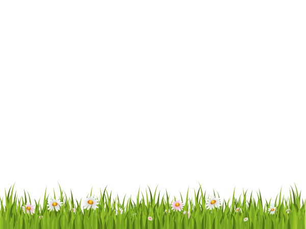 Grass Free PNG Image Download 20