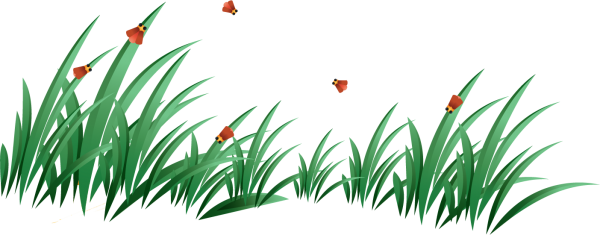 Grass Free PNG Image Download 32