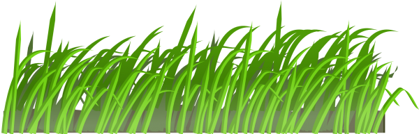 Grass Free PNG Image Download 41