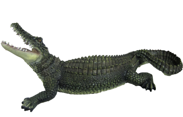 Green Crocodile Png