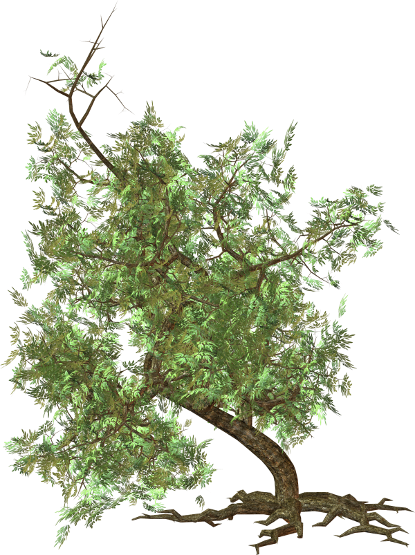 Green Tree Clipart