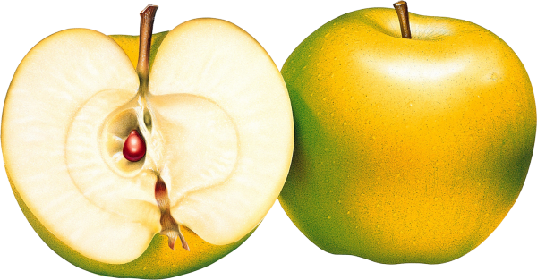 Greenish Yellow Apple Png