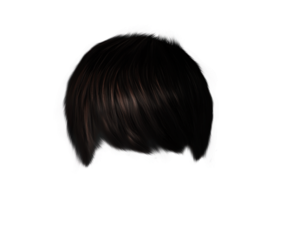 Hair Free PNG Image Download 39