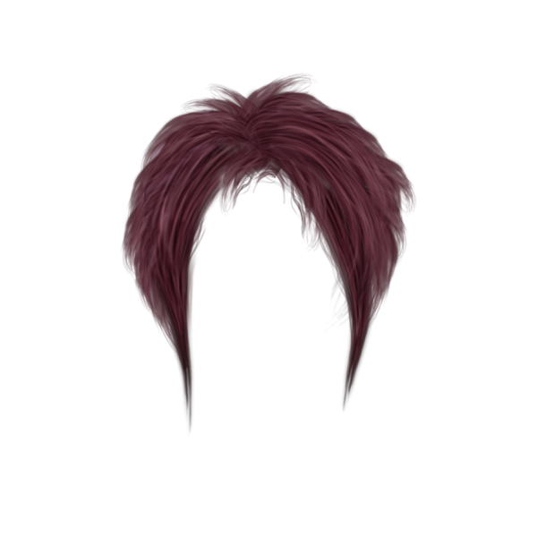 Hair Free PNG Image Download 42