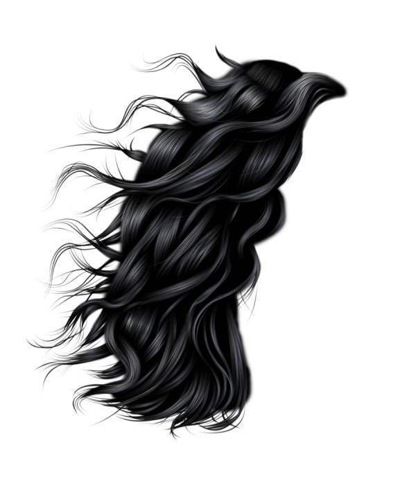 Hair Free PNG Image Download 44