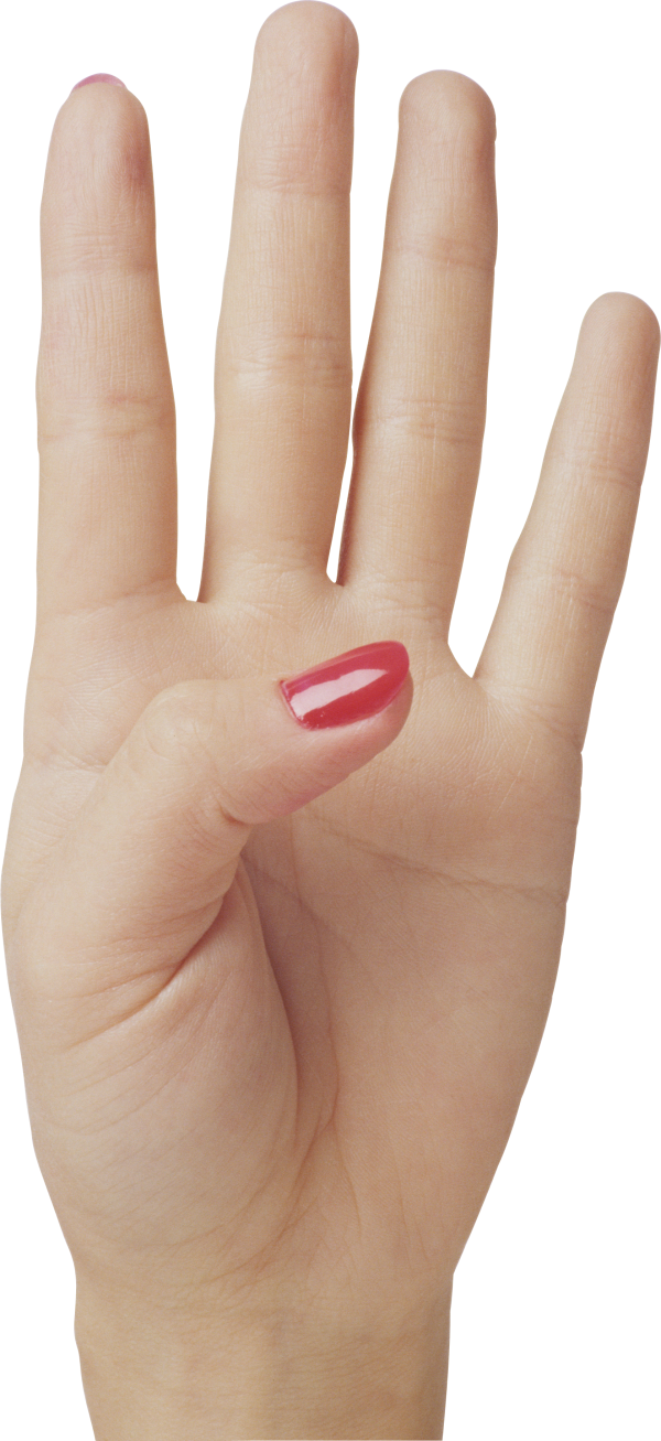 Hands PNG Free Image Download 14
