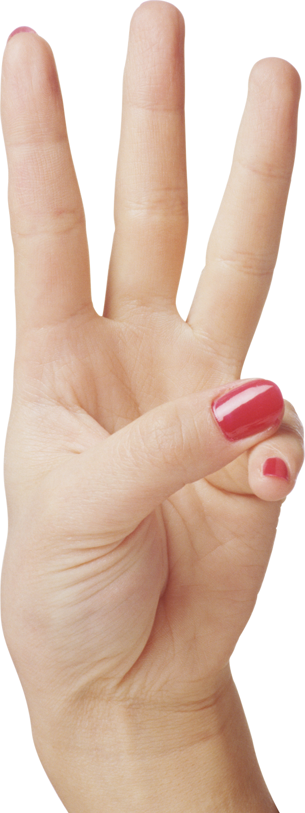 Hands PNG Free Image Download 24