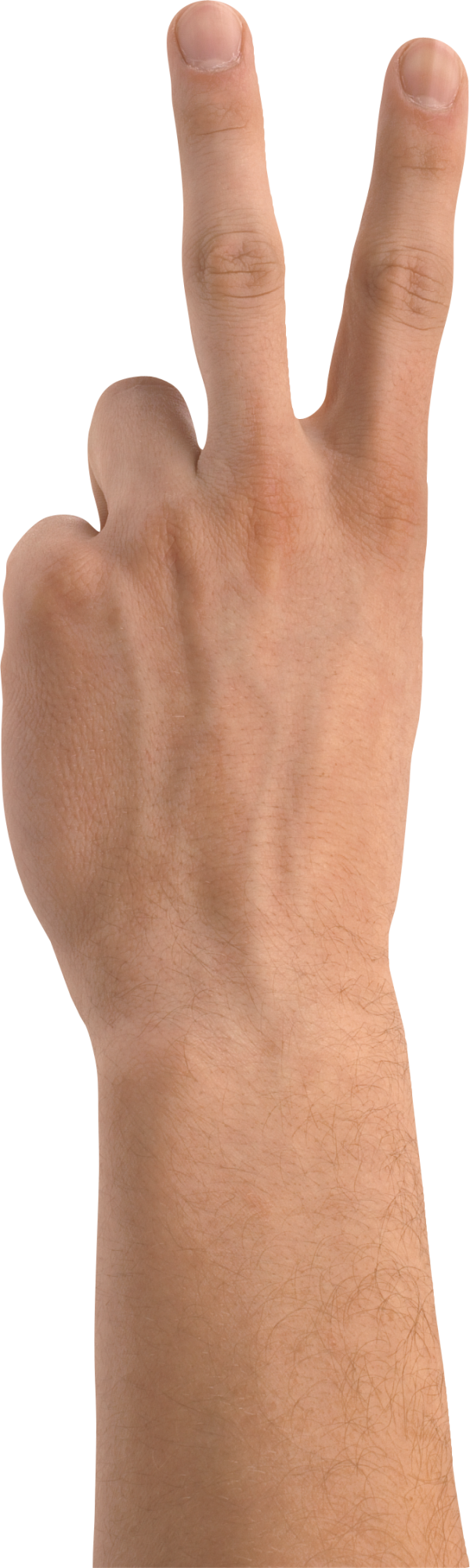 Hands PNG Free Image Download 38