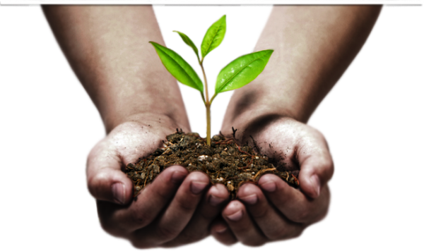 Hands PNG Free Image Download 60