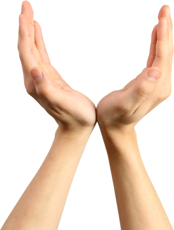 Hands PNG Free Image Download 64