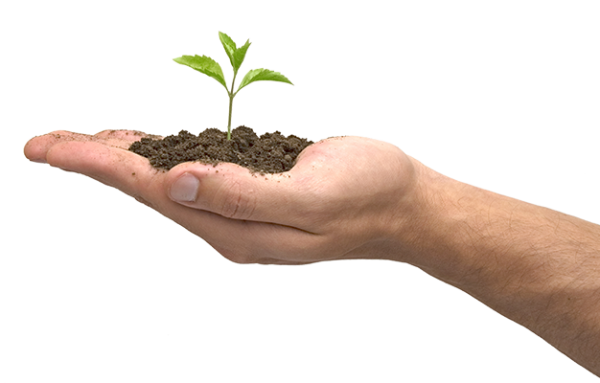 Hands PNG Free Image Download 70