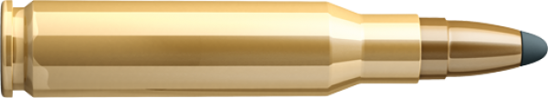 hd bullet free png