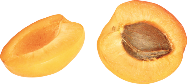 HD Quality Apricot Png