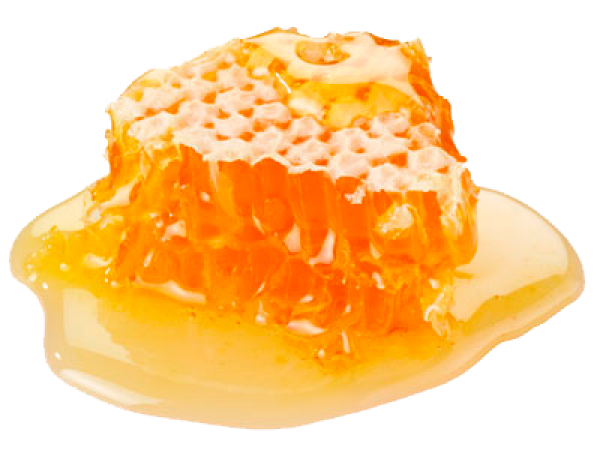 Honey PNG Free Image Download 13