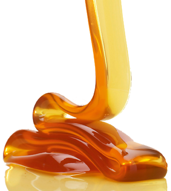 Honey PNG Free Image Download 16
