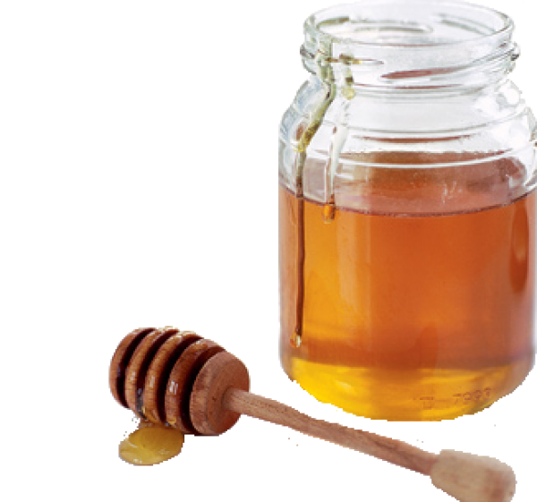 Honey PNG Free Image Download 18