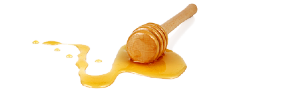 Honey PNG Free Image Download 19