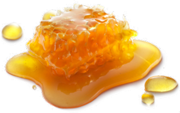 Honey PNG Free Image Download 23