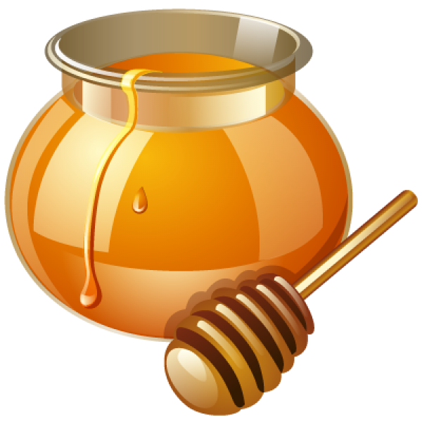 Honey PNG Free Image Download 25