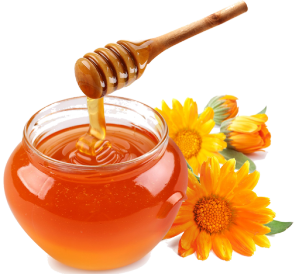 Honey PNG Free Image Download 28