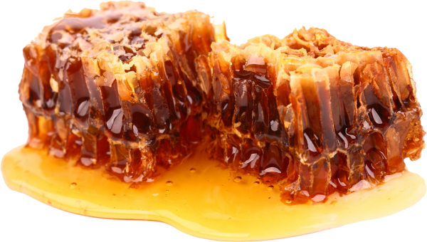 Honey PNG Free Image Download 3