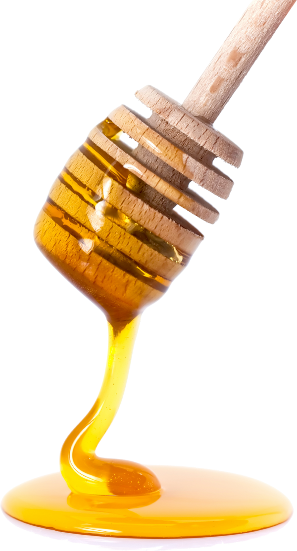 Honey PNG Free Image Download 30