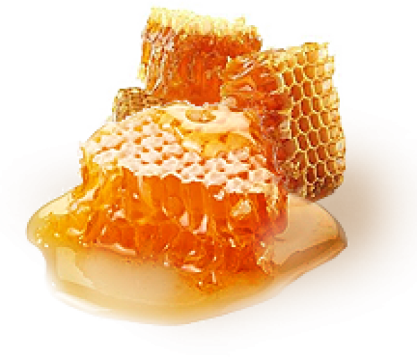 Honey PNG Free Image Download 33