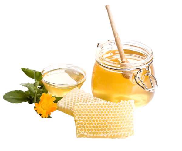 Honey PNG Free Image Download 7