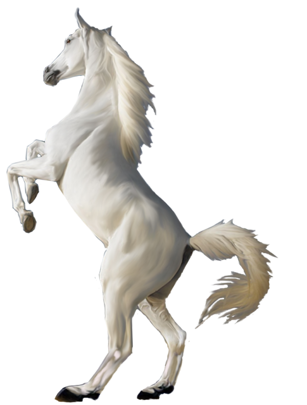 Horse PNG Free Image Download 42