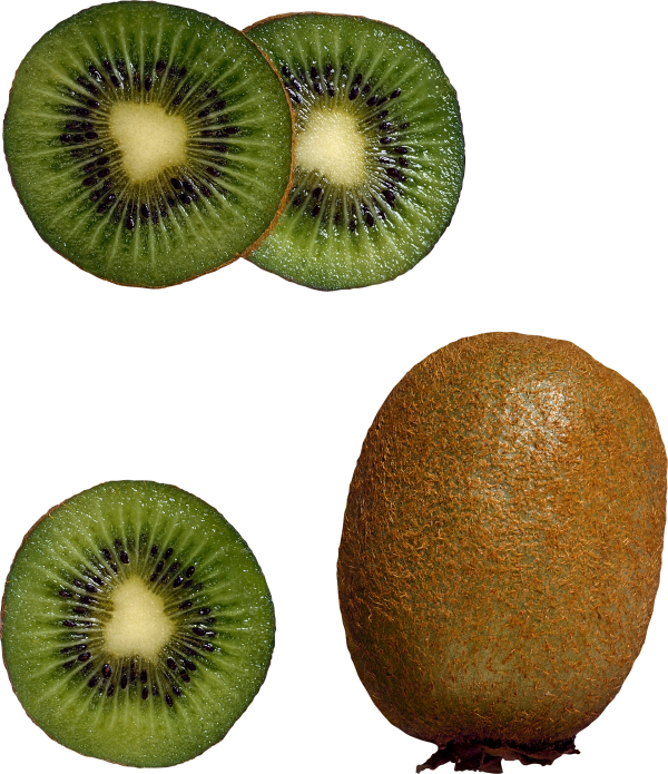 Kiwi PNG Free Download 12