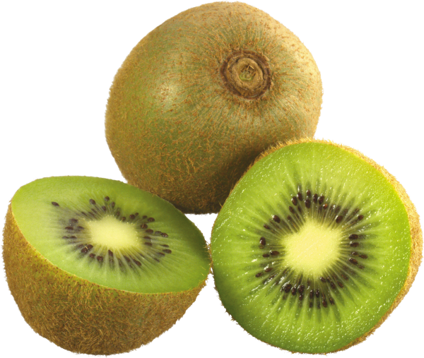 Kiwi PNG Free Download 14