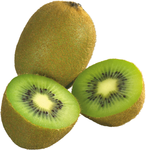 Kiwi PNG Free Download 15