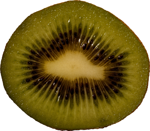 Kiwi PNG Free Download 17