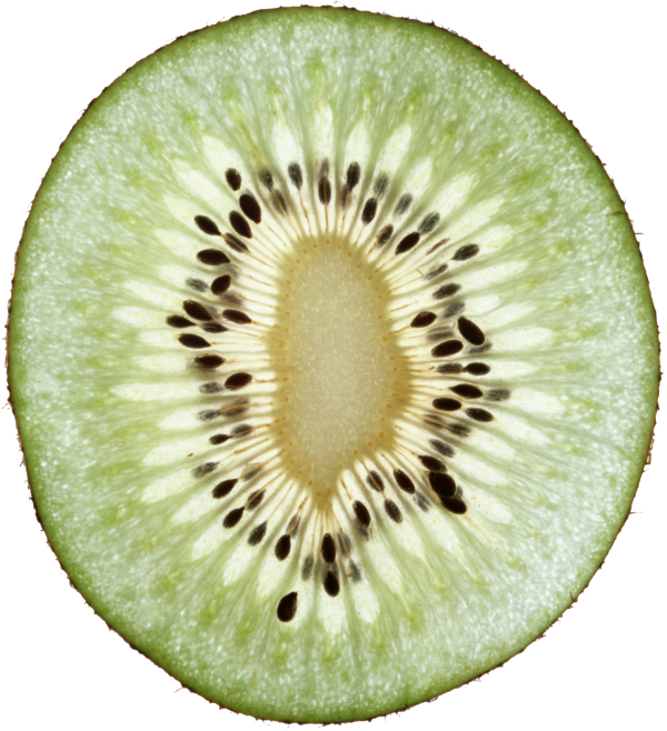 Kiwi PNG Free Download 18