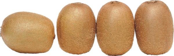 Kiwi PNG Free Download 19