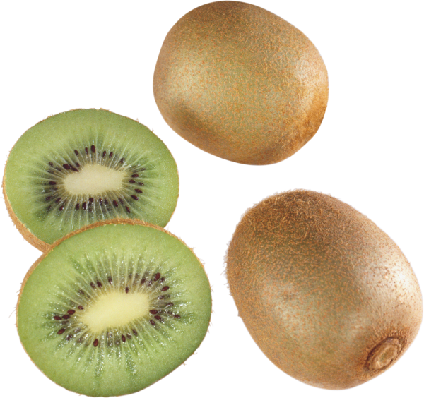 Kiwi PNG Free Download 2