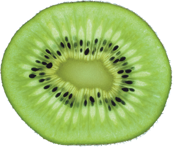 Kiwi PNG Free Download 23